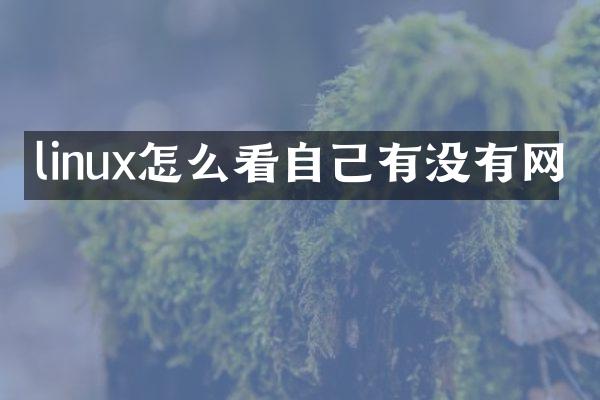 linux怎么看自己有没有网