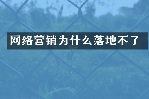 网络营销为什么落地不了
