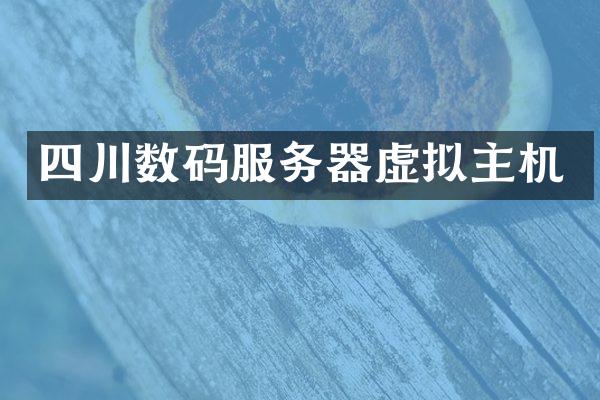 四川数码服务器虚拟主机