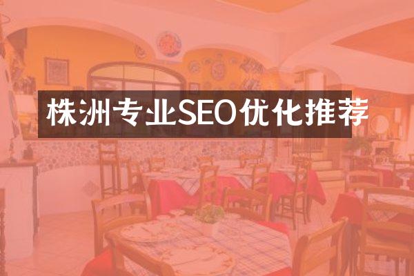 株洲专业SEO优化推荐