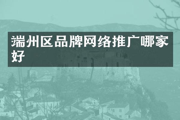 端州区品牌网络推广哪家好