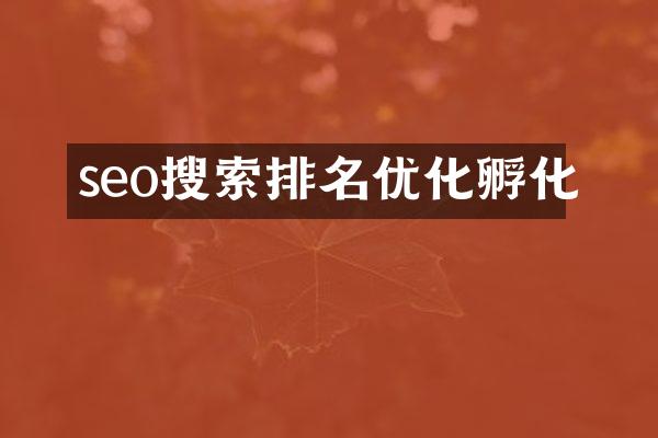 seo搜索排名优化孵化