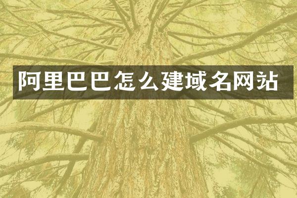阿里巴巴怎么建域名网站