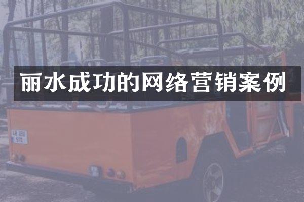 丽水成功的网络营销案例