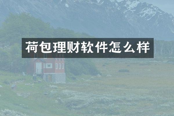 荷包理财软件怎么样