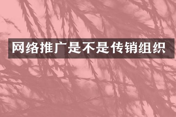 网络推广是不是传销组织