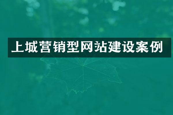 上城营销型网站建设案例