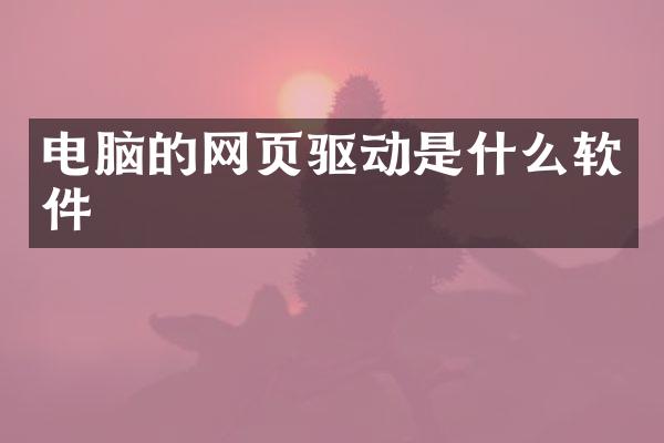 电脑的网页驱动是什么软件