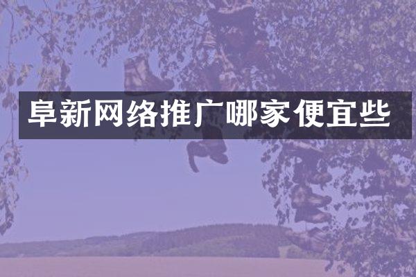 阜新网络推广哪家便宜些