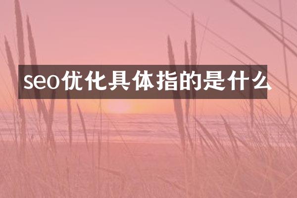 seo优化具体指的是什么