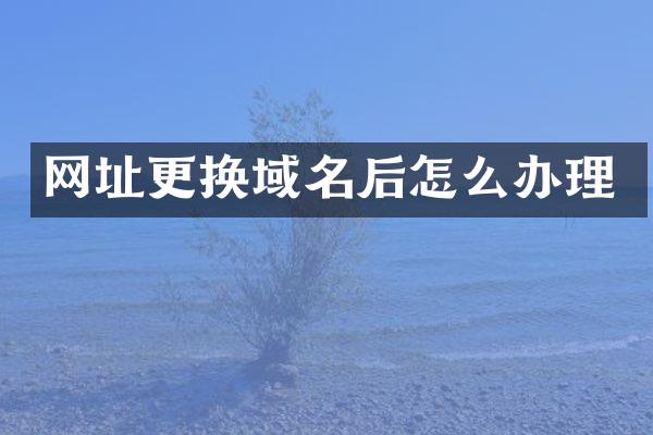 网址更换域名后怎么办理