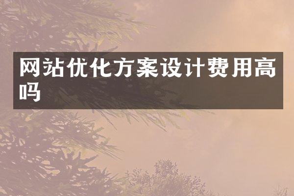 网站优化方案设计费用高吗