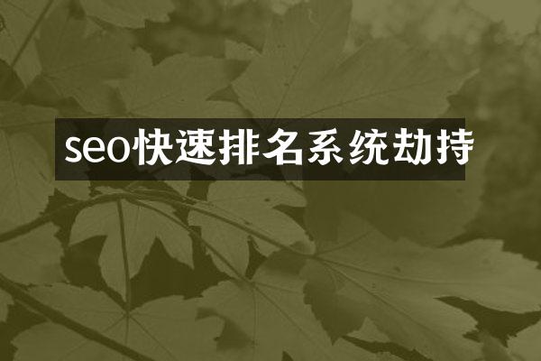 seo快速排名系统劫持