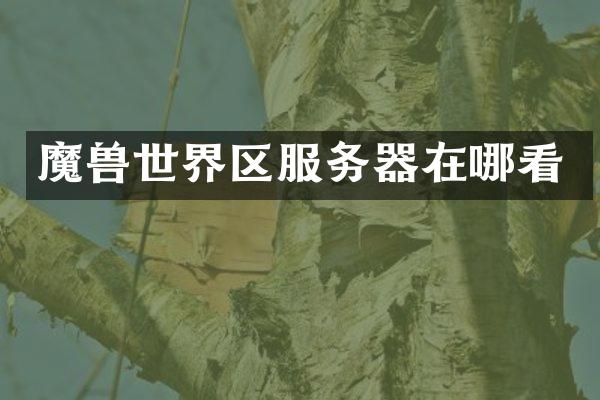 魔兽世界区服务器在哪看