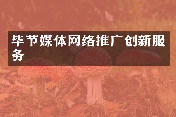 毕节媒体网络推广创新服务