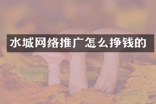 水城网络推广怎么挣钱的