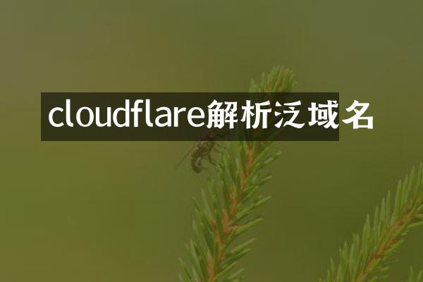 cloudflare解析泛域名