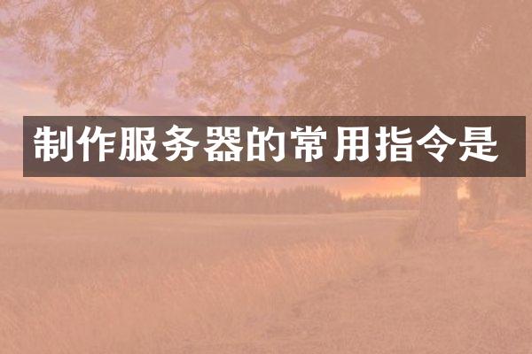 制作服务器的常用指令是