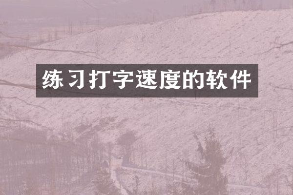 练习打字速度的软件