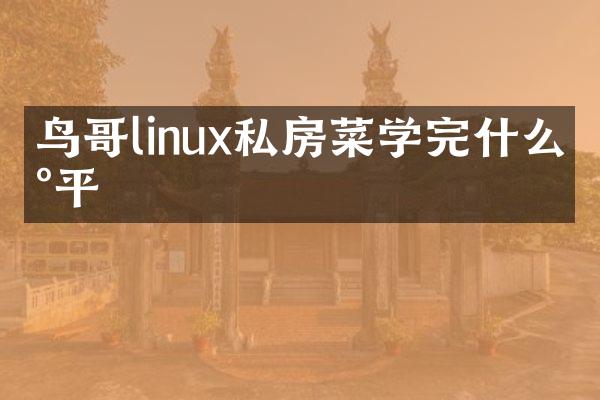 鸟哥linux私房菜学完什么水平