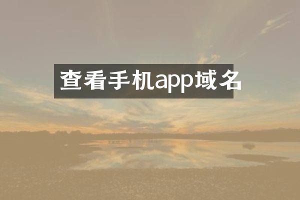 查看手机app域名