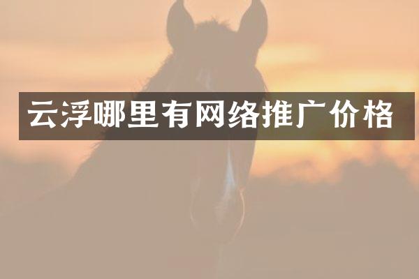 云浮哪里有网络推广价格