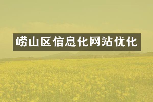 崂山区信息化网站优化