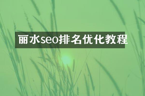 丽水seo排名优化教程