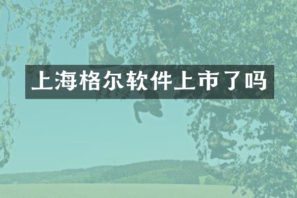 上海格尔软件上市了吗