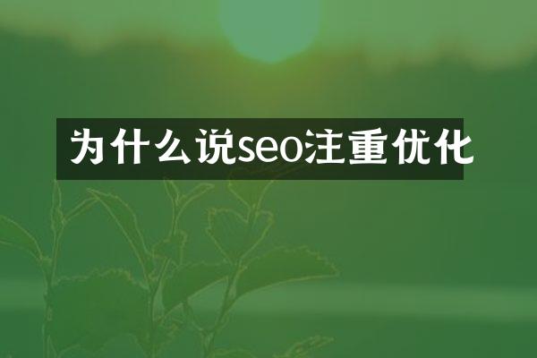 为什么说seo注重优化