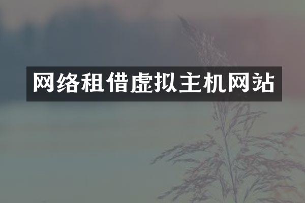 网络租借虚拟主机网站