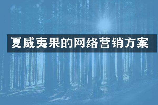 夏威夷果的网络营销方案