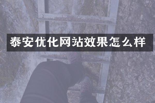 泰安优化网站效果怎么样