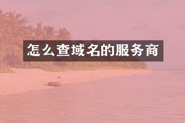 怎么查域名的服务商