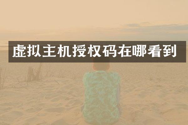 虚拟主机授权码在哪看到