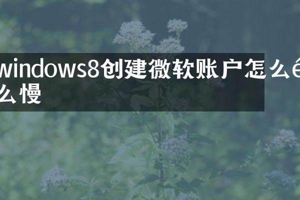 windows8创建微软账户怎么那么慢