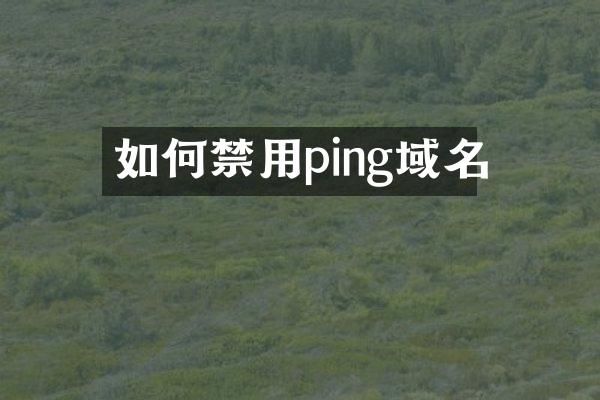 如何禁用ping域名