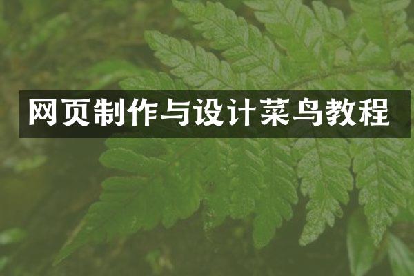 网页制作与设计菜鸟教程