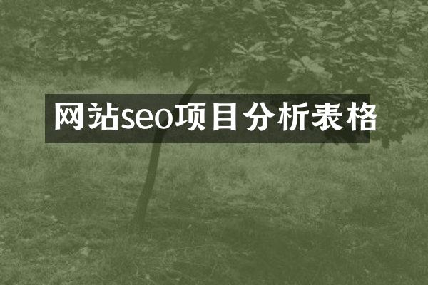 网站seo项目分析表格