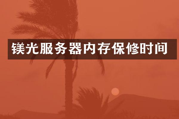 镁光服务器内存保修时间