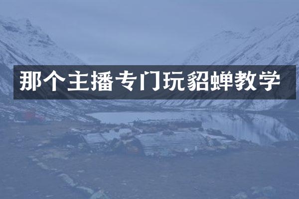 那个主播专门玩貂蝉教学