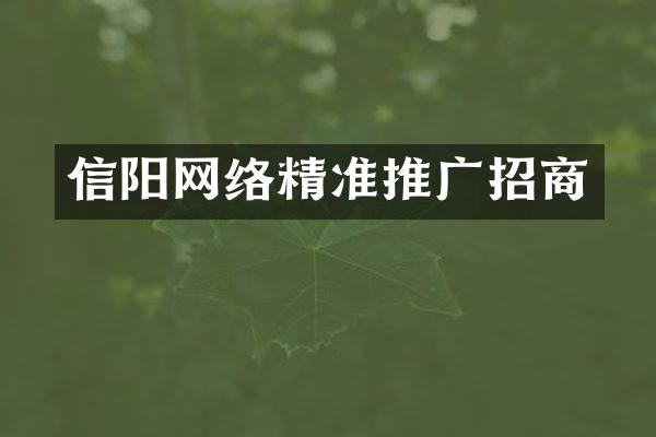 信阳网络精准推广招商
