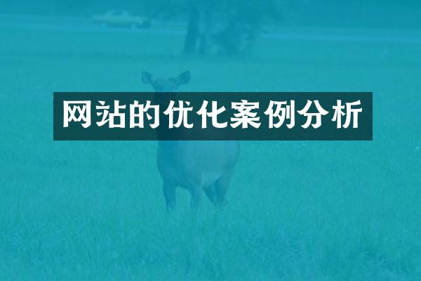 网站的优化案例分析