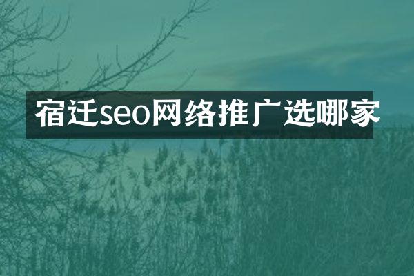 宿迁seo网络推广选哪家