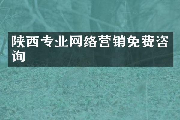 陕西专业网络营销免费咨询