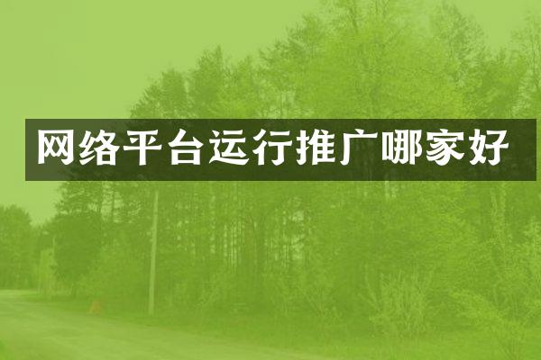 网络平台运行推广哪家好
