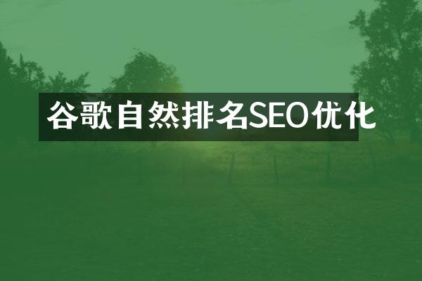 谷歌自然排名SEO优化