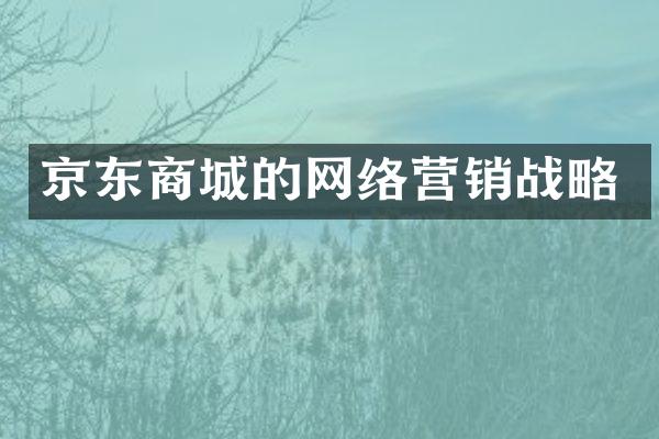 京东商城的网络营销战略