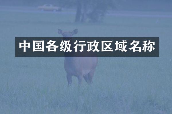 中国各级行政区域名称