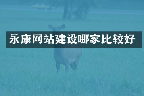 永康网站建设哪家比较好